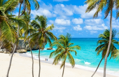 Preview: Best Time to Travel Barbados